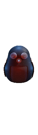 flasa